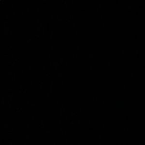 Meet your Posher, Travis